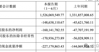 掌阅科技半年报：亏损1.7亿，2亿营销费换短剧8亿收入
