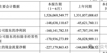 掌阅科技半年报:亏损1.7亿,2亿营销费换短剧8亿收入