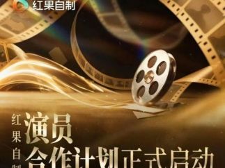 当演员成为“合伙人”，微短剧或迎来品质拐点？