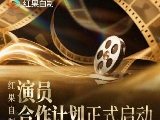 当演员成为“合伙人”，微短剧或迎来品质拐点？
