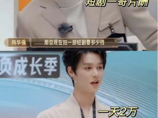 短剧是经济大潮下给底层牛马定制的麻醉剂吗？