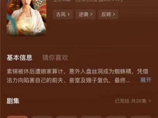 AI真人短剧《盘丝洞素锦传》  30万制作成本，播放量不到15万