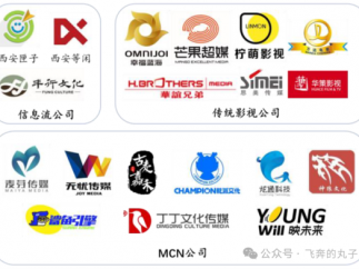 一文读懂；短剧行业与市场现状及其产业链分析