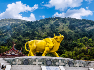 文旅短剧 《窑火照芳华》上线播出  与全国观众一起“看见德化”