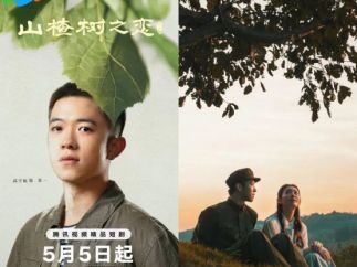 经典慢爱遇上短剧快，《山楂树之恋》为何火不起来？