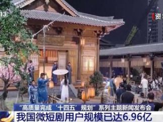 我国微短剧用户规模已达6.96亿，2024年市场规模达500亿元