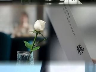 爆款短剧《盛夏芬德拉》十亿播放背后有什么行业趋势