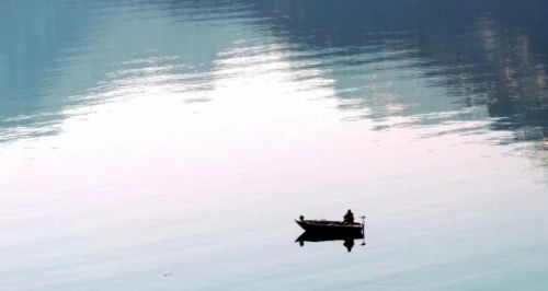 IMG_256