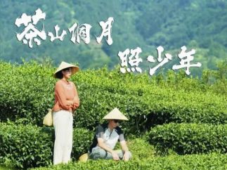 短剧《茶山侗月照少年》入围第8届极光之夜·大学生微电影嘉年华榜单