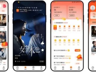 从付费到分账，独立APP撑起短剧新时代
