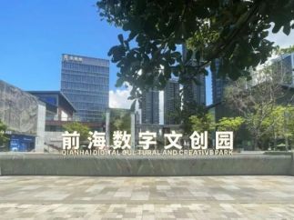 湾区短剧成长记