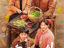 《家里家外》等9部微短剧入选中宣部“优秀微短剧创作扶持计划”