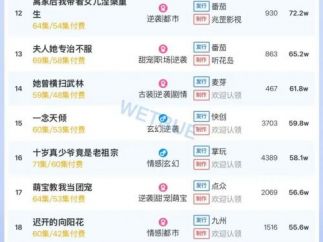 10月22日付费短剧大盘4500万：《隐居多年后为孙女亮出身份》第一