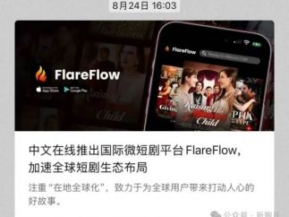 中文在线三季度财报：亏损2.94亿，海外短剧使销售费用徒增3亿