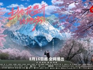 21.6亿人次,94部!微短剧在卫视频道前三季度收视数据报告公布