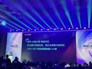 红果短剧创服8个月共下架违规短剧1193部