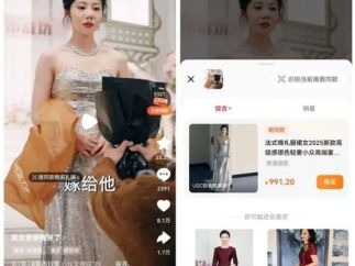 从“龙王赘婿”到品牌定制:短剧的羞耻与光荣