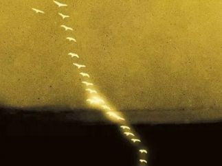 从公众号到AI短剧,是普通人错过的十年