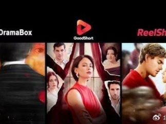 短剧出海：现状、前景与未来展望