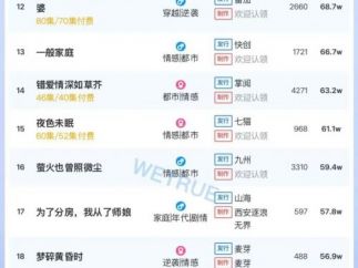 11月4日付费短剧大盘4466万：《陆先生，余生不再见》第一