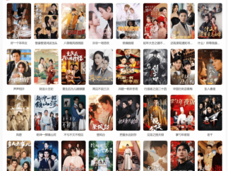 胡泳、刘纯懿：竖屏微短剧与“屏幕世代”的观看