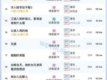 11月22日付费短剧大盘4471万：《何须相守到白头》第一