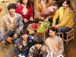 听花岛年代爆款短剧《家里家外2》定档11月29日