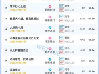 11月24日付费短剧大盘4404万：《我靠腹中萌宝，成为人间富贵花》第一