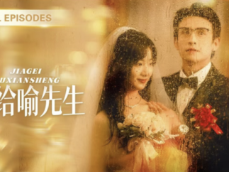 马厩制片厂的另一种答案：当短剧从流量博弈走向厂牌经营