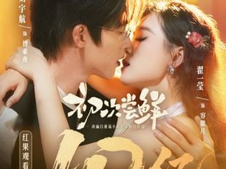 红果短剧创作服务平台孵化短剧《初次尝鲜》观看量突破10亿