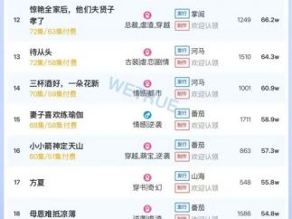 12月20日付费短剧大盘4249万：《爸妈跑路，福宝带债主发财了》第一