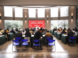 凭“竖屏快节奏”重塑视听生态，湖北创作者这样破局微短剧